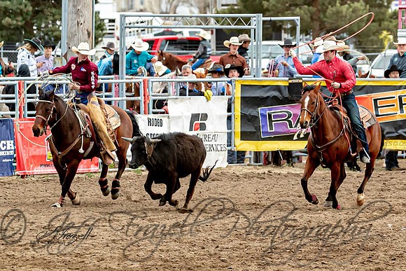 _E0I7614