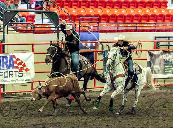 IMG_6897