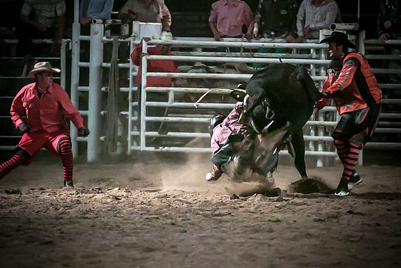 IMG_1931