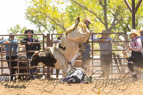 IMG_3994