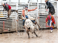 Bull Riding