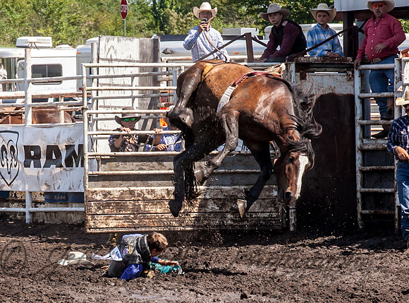 IMG_5260