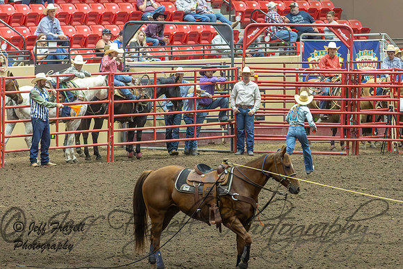 IMG_0790-Enhanced-NR