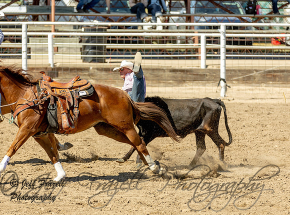 IMG_6484