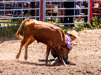 IMG_2281