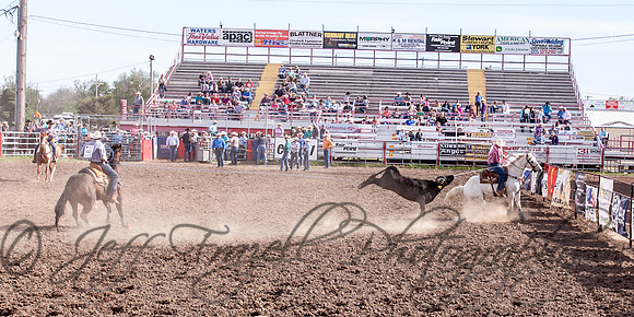 IMG_2996