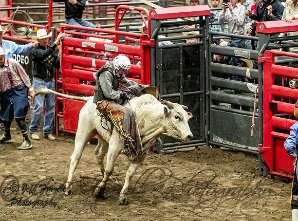_E0I5931