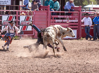 IMG_2467