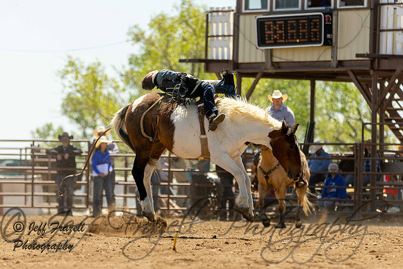 IMG_3527