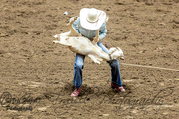 IMG_5439-Enhanced-NR
