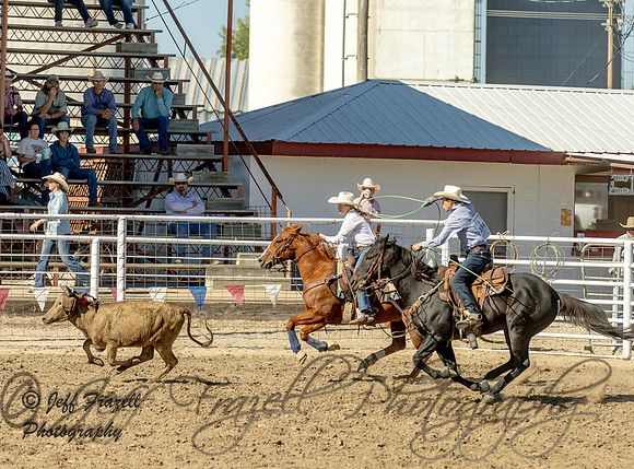 IMG_7118
