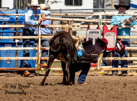 Jr High Chute Dogging Canton Saturday 2024