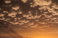 Storm shots