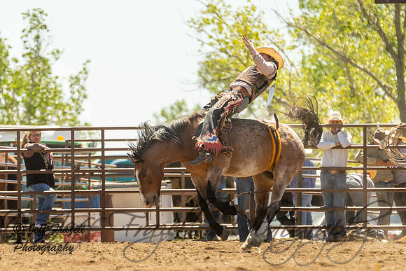 IMG_3564