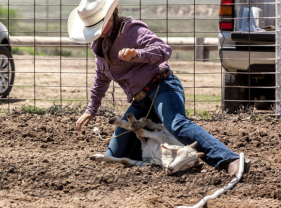 IMG_6631