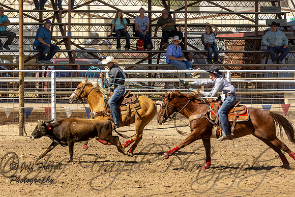 IMG_3230