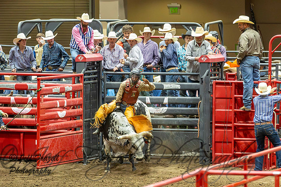 IMG_1772-Enhanced-NR