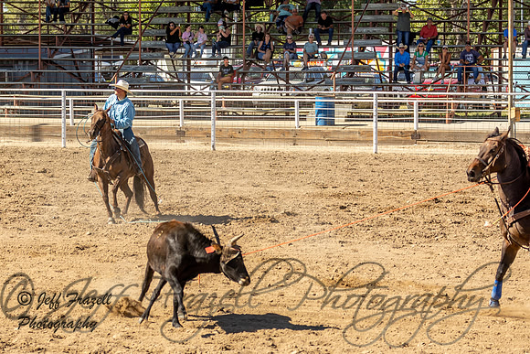 IMG_3291