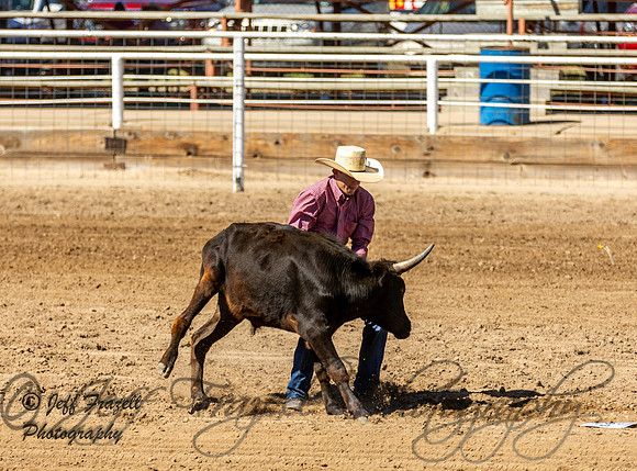 IMG_2229