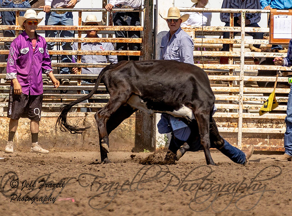 IMG_1230