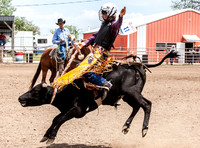Jr High Saddle Bronc Lakin Saturday
