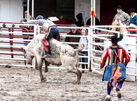 Bull Riding