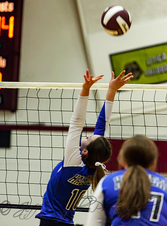 IMG_6030