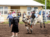 Bull Riding