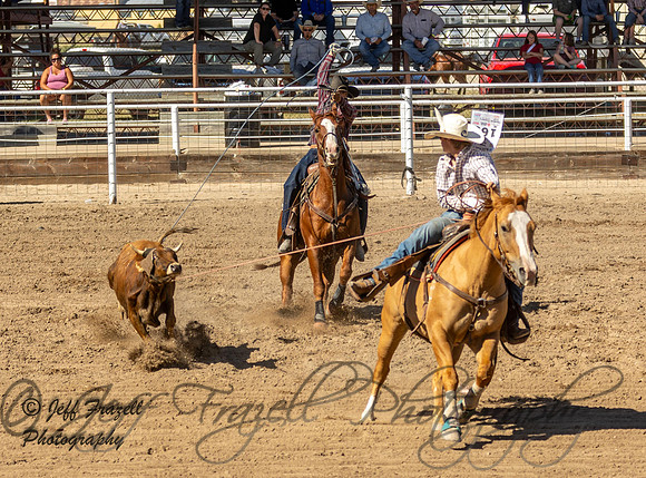 IMG_3040