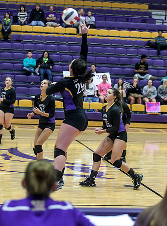 IMG_1883