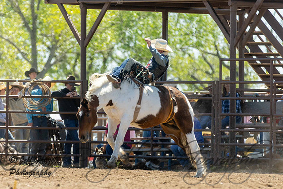 IMG_3515