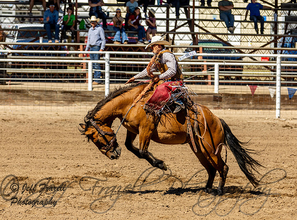 IMG_2437