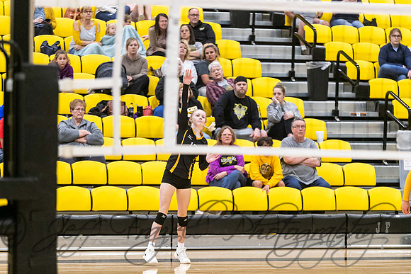 _E0I2918