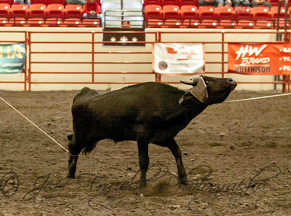 IMG_3249