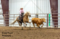 Reining Dodge City 2025