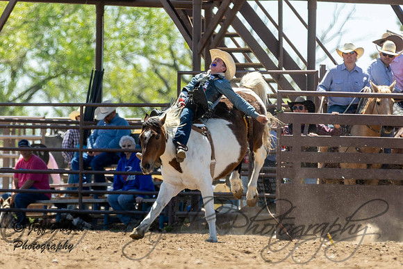 IMG_3514