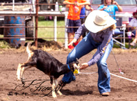 IMG_3011