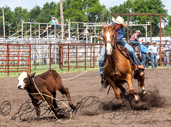 IMG_2295