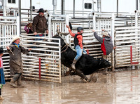 Bull Riding