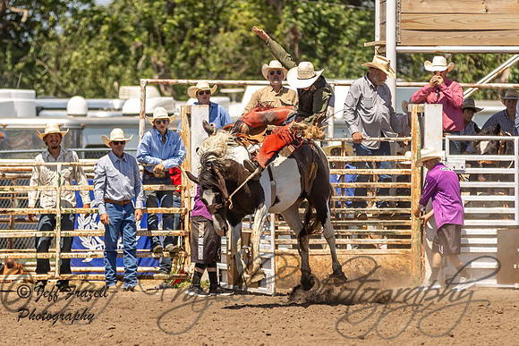 IMG_9797