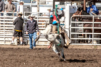 Jr High Rough Stock