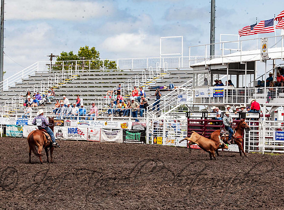 IMG_3256