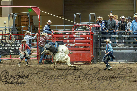 IMG_9566-Enhanced-NR