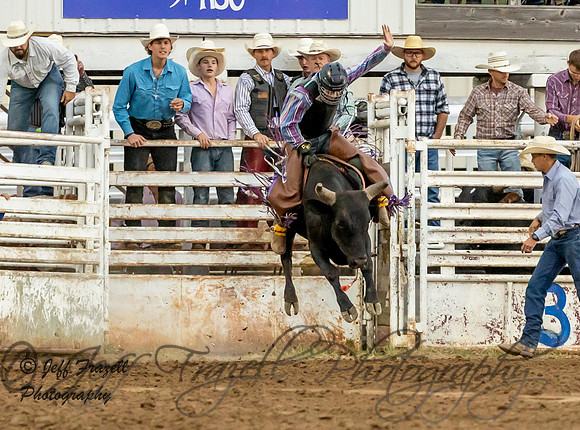 IMG_5441