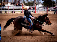 IMG_6582