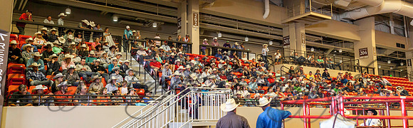 IMG_3093-Pano
