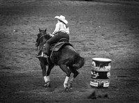 IMG_1037