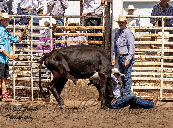 IMG_1238