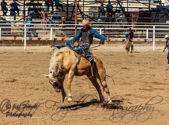 IMG_2398