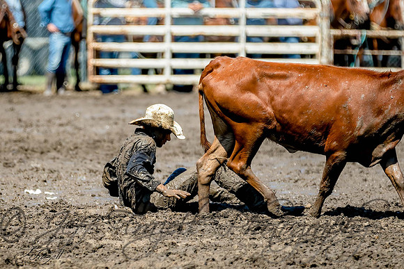 _E0I1360-Edit